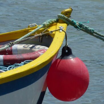 Transient Moorings Transient Moorings